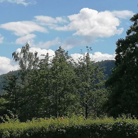 Toepferblick Lejlighed Olbersdorf Eksteriør billede