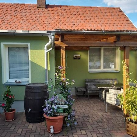 Toepferblick Lejlighed Olbersdorf Eksteriør billede