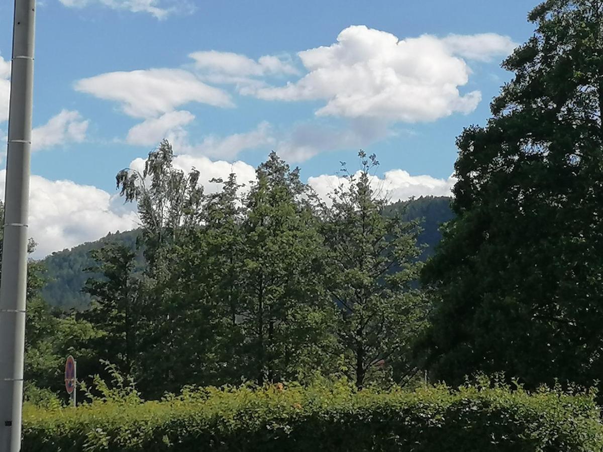 Toepferblick Lejlighed Olbersdorf Eksteriør billede