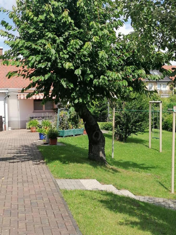 Toepferblick Lejlighed Olbersdorf Eksteriør billede