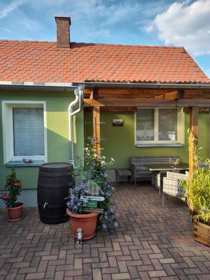 Toepferblick Lejlighed Olbersdorf Eksteriør billede
